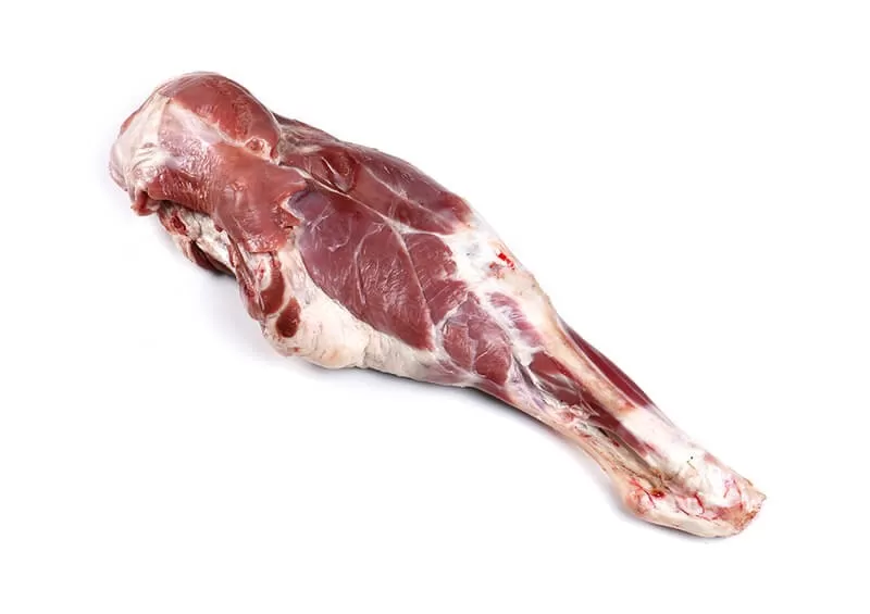 ران و دست گوسفندی ران و دست گوسفندی - Image 1